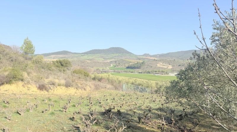 Navarre - Cirauqui - 14000m2