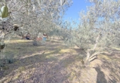 Casa con terreno en venta en la España, Cirauqui, ref: TR406415 foto