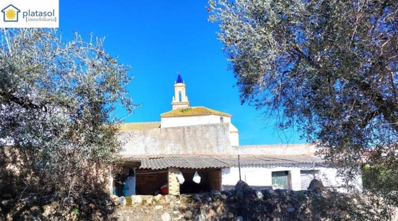Sevilla - El Garrobo - 518m2