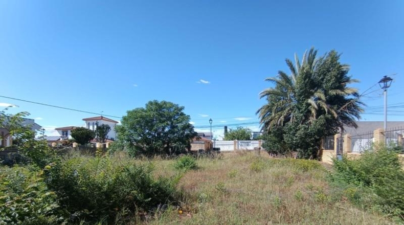 Sevilla - Palomares del Río - 535m2