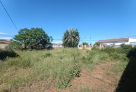 Palomares del Río 535&nbsp;m² 