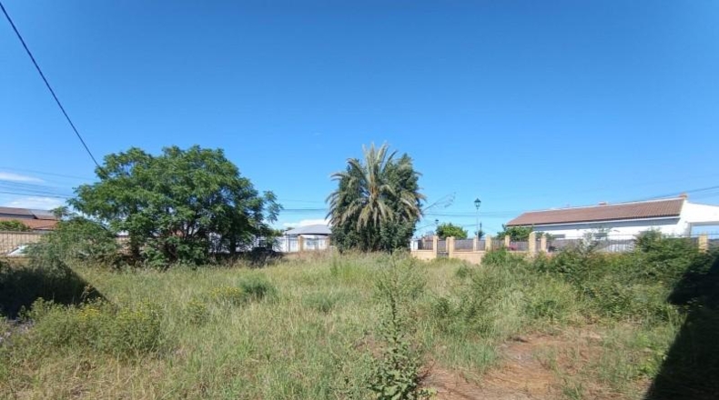 Sevilla - Palomares del Río - 535m2