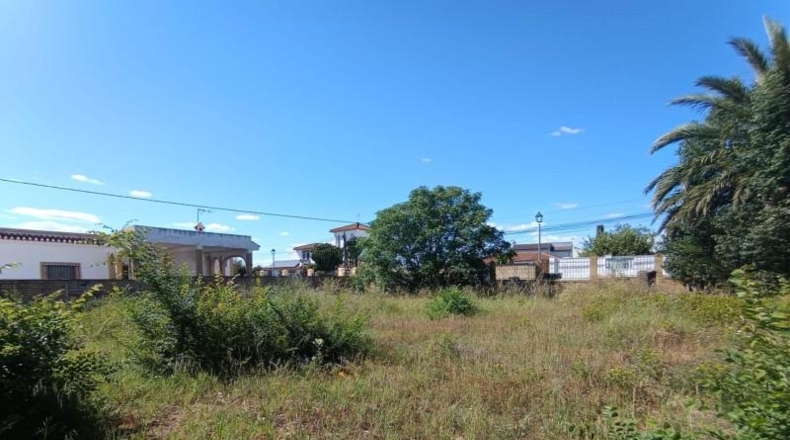 Sevilla - Palomares del Río - 535m2