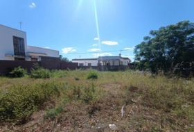 Palomares del Río 535&nbsp;m² 