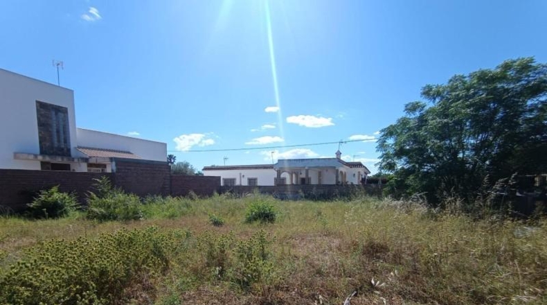 Sevilla - Palomares del Río - 535m2