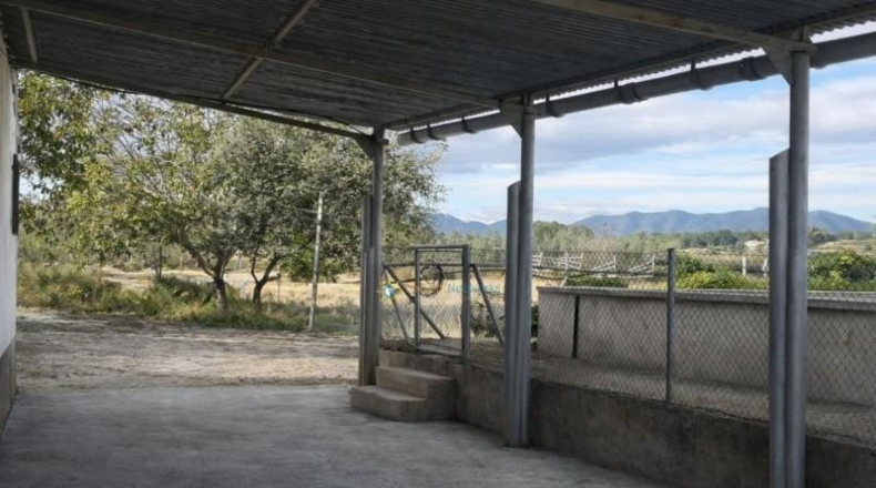 València - Bufali - 7031m2