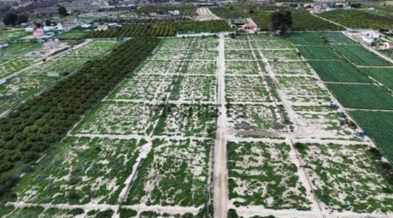 Murcia - Librilla - 26000m2