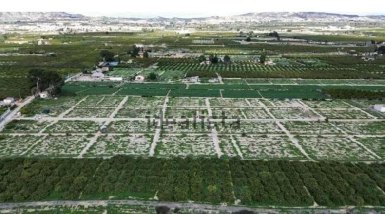 Murcia - Librilla - 26000m2