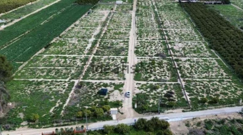 Murcia - Librilla - 26000m2