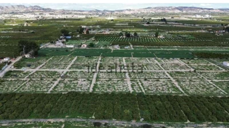 Murcia - Librilla - 26000m2