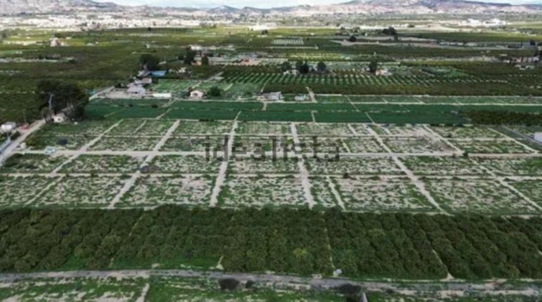 Murcia - Librilla - 26000m2