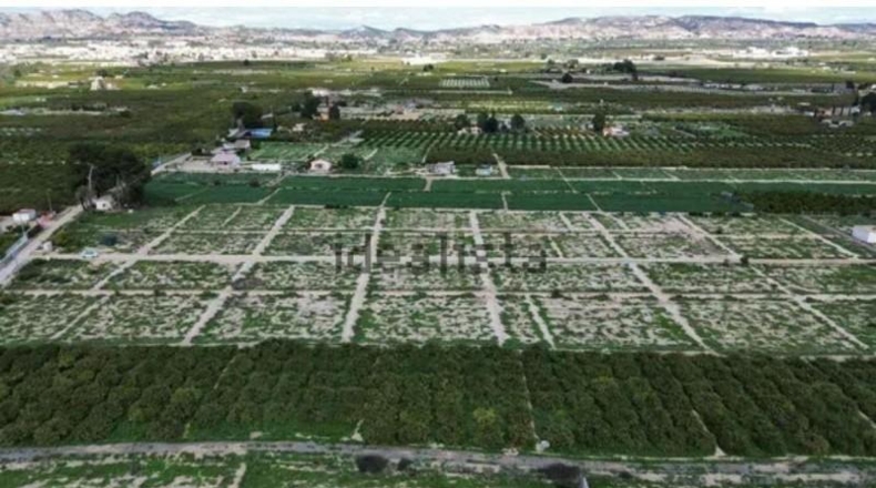 Murcia - Librilla - 26000m2