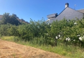 Chalet independiente con terreno en venta en la España, Cacabelos, ref: TR406465 foto