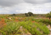 Non-developable land for sale on España, Llíber, ref: TR406477 photo