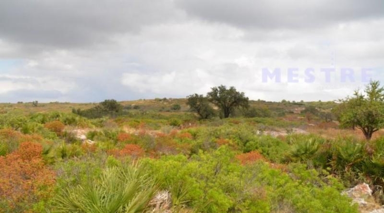 Alicante - Llíber - 211000m2