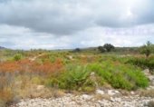 Non-developable land for sale on España, Llíber, ref: TR406477 photo