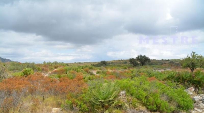 Alicante - Llíber - 211000m2