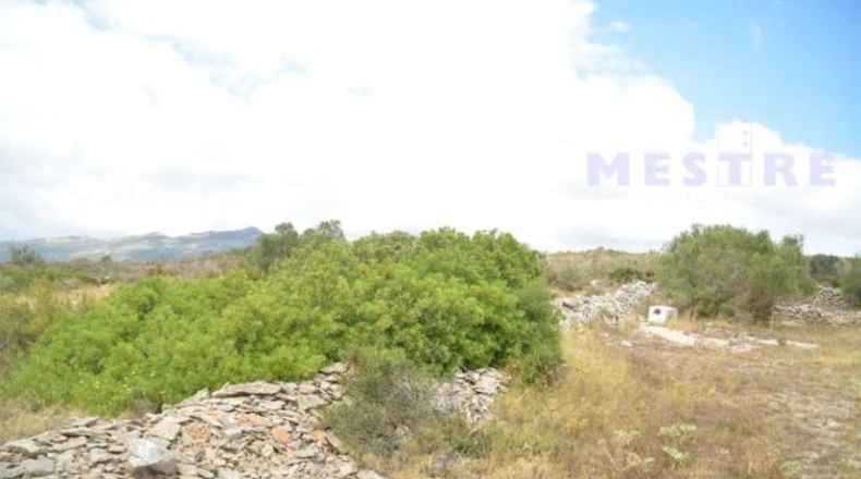 Alicante - Llíber - 211000m2