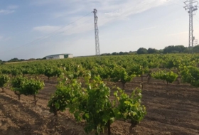 Rota 34939&nbsp;m² 