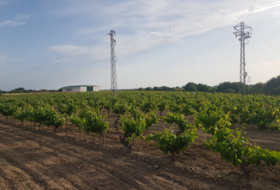 Rota 34939&nbsp;m² 
