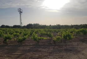 Rota 34939&nbsp;m² 