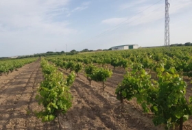 Rota 34939&nbsp;m² 