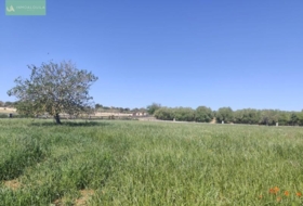 Ariany 18577&nbsp;m² 