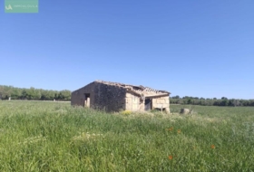 Ariany 18577&nbsp;m² 