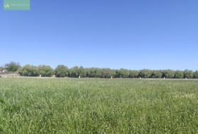 Ariany 18577&nbsp;m² 