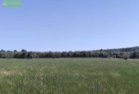 Ariany 18577&nbsp;m² 