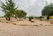 Casa de campo con terreno en venta en la España, Fuente Álamo, ref: TR355091 foto