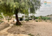 Casa de campo con terreno en venta en la España, Fuente Álamo, ref: TR355091 foto