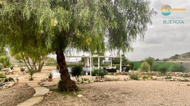 Мурсия - Fuente Álamo de Murcia - 2468m2