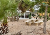 Casa de campo con terreno en venta en la España, Fuente Álamo, ref: TR355091 foto