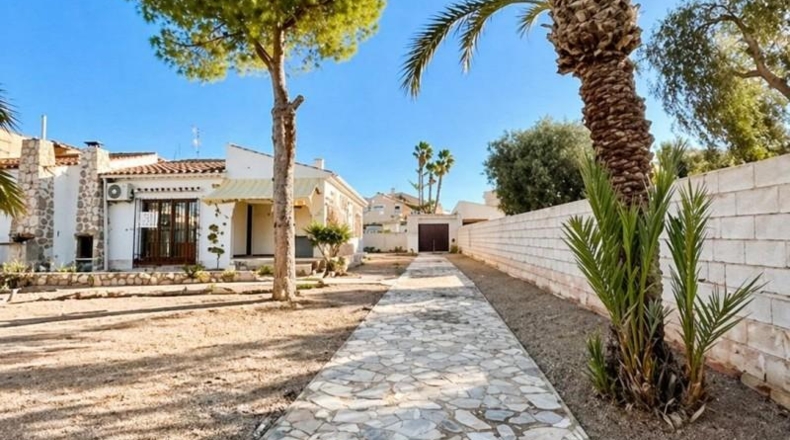 Alicante - Torrevieja - 586m2