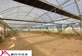 Chipiona 12000&nbsp;m² 