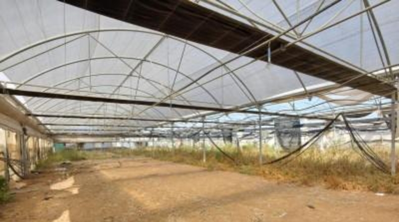 Cadiz - Chipiona - 12000m2