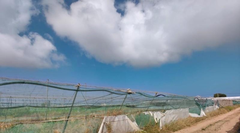 Cadiz - Chipiona - 12000m2