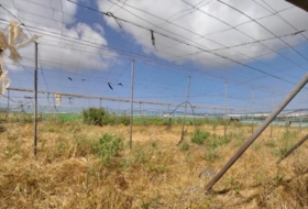 Chipiona 12000&nbsp;m² 