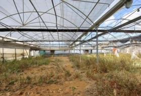 Chipiona 12000&nbsp;m² 