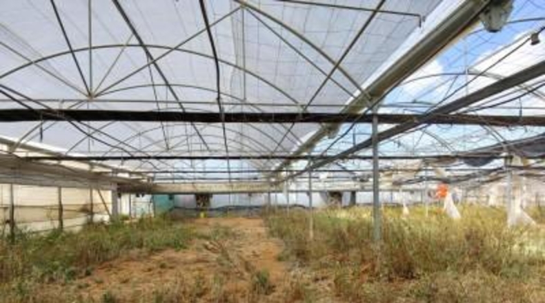 Cadiz - Chipiona - 12000m2