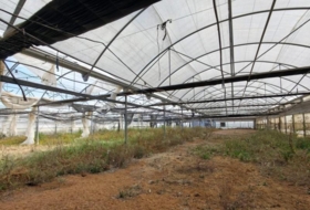 Chipiona 12000&nbsp;m² 