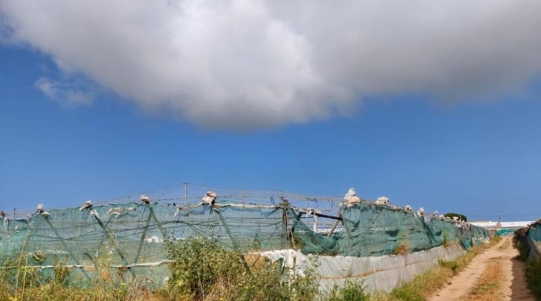 Cadiz - Chipiona - 12000m2