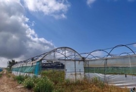Chipiona 12000&nbsp;m² 