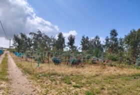Chipiona 12000&nbsp;m² 