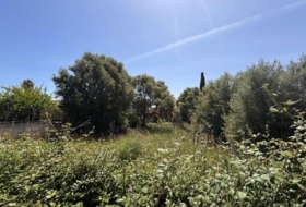 Lloseta 621&nbsp;m²