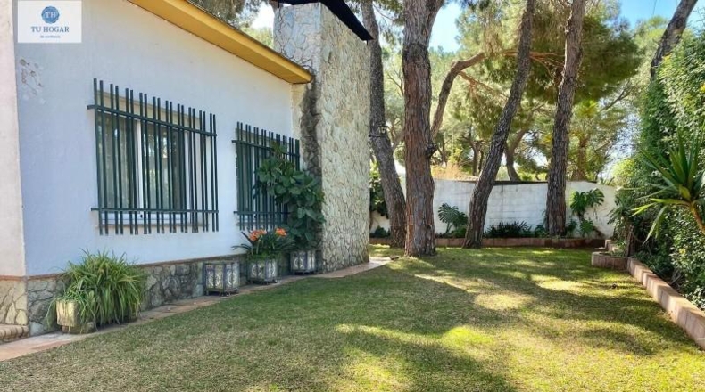 Sevilla - Alcalá de Guadaíra - 566m2