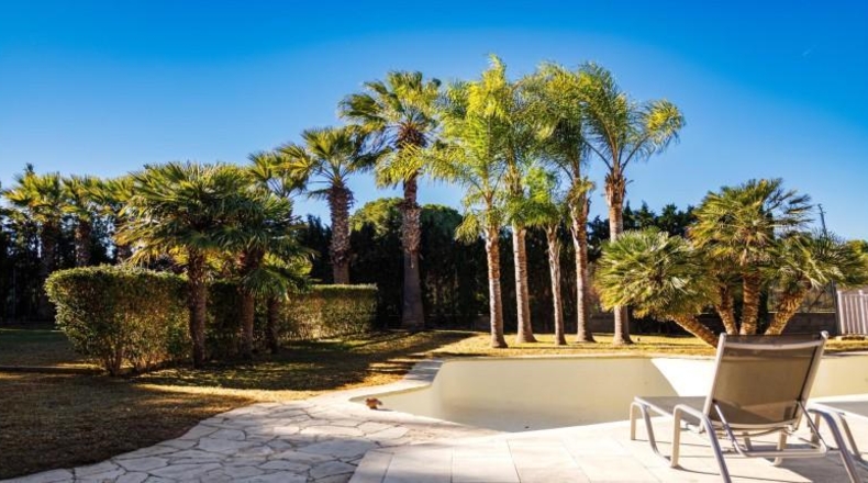 Valencia - Picasent - 1770m2