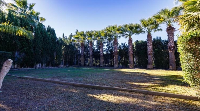 Valencia - Picasent - 1770m2