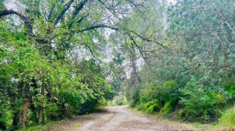Tarragona - Aldover - 331m2